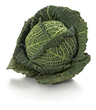 Savoy cabbage Holland 1cl