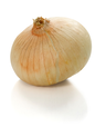 Onion 90-100mm Spain 2cl