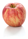 Apple Gala Organic IT 1cl