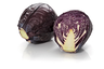 Red cabbage FI 1cl