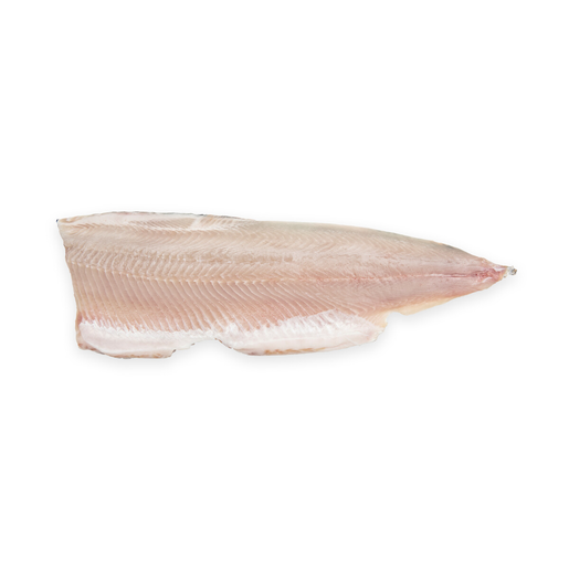 Martin Kala whitefish fillet ca200-400g/3kg ltkraised plucked