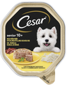 Cesar senior kanaa ja riisiä hyytelössä koiran märkäruoka 150g