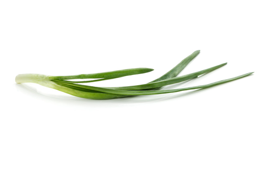 Spring onion Germany 1cl