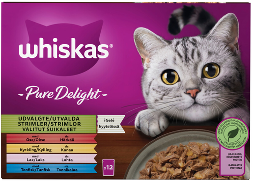 Whiskas 1+ Pure Delight suosikit lajitelma hyytelössä kissan märkäruoka 12x85g