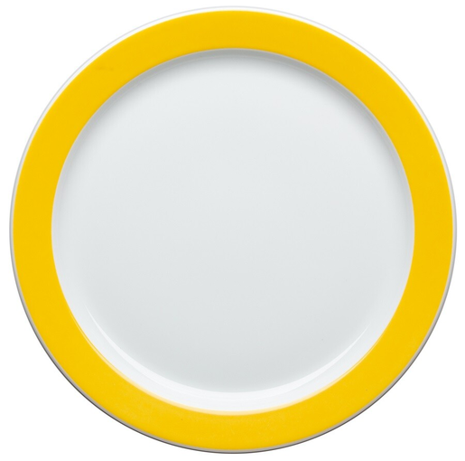 Topi-plate ø 24cm 24pcs yellow stripe