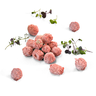 Well Beef meat ball 800x9g ungrilled, frozen