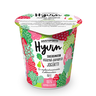 Juustoportti Hyvin päron-rabarber yoghurt 150g laktosfri, osötad