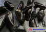 AK MSC blue mussel whole 1kg cooked, frozen
