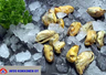 Arvo Kokkonen MSC blue mussel 1kg peeled, cooked, frozen