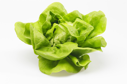 Head lettuce 100g Finland 1cl