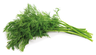 Dill 100g Finland 1cl