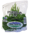 Parsley 100g Finland 1cl