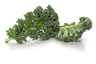Green Kale 200g FI