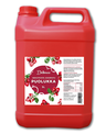 DeliMax lingonberry juice concentrate with sugar 5L