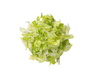 SallaCarte Iceberg lettuce shred 1kg