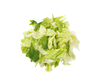 SallaCarte Iceberg lettuce/romaine lettuce a la carte 1kg