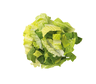 SallaCarte Romaine-salaatti leikattu 1 kg