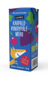 Raikastamo Grape-Cranberry juice box 200ml organic