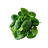 SallaCarte Baby spinach 500g