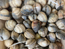Hanssons MSC heart mussels 1kg