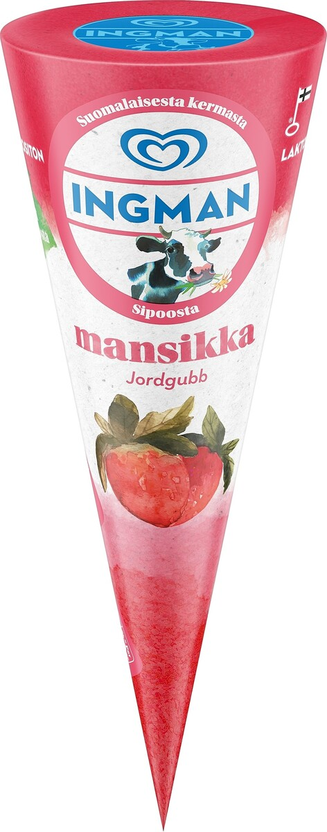 Ingman strawberry 120ml ice cream cone lactose free
