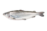 Benella whitefish ca0,8/10kg