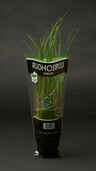 Chives pot Finland 1cl