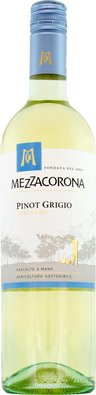 Mezzacorona Pinot Grigio Trentino 12,5% 0,75l valkoviini