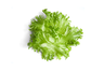 Icesalad leaf 2kg FI 1kl