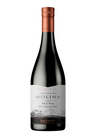 Castillo de Molina Pinot Noir 14% 0,75l punaviini