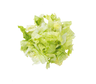SallaCarte Iceberg lettuce a la carte 1kg
