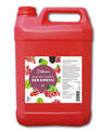 DeliMax sugared mixed juice concentrate 5L