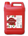 DeliMax lingonberry juice concentrate with sugar 5L