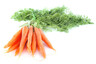 Carrot bunch Finland 1cl