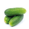 Cucumber ghrekin 10kg FI 1cl