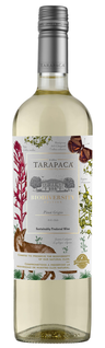 Tarapaca Biodiversity EDT Pinot Grigio 12,5% 0,75l vitvin